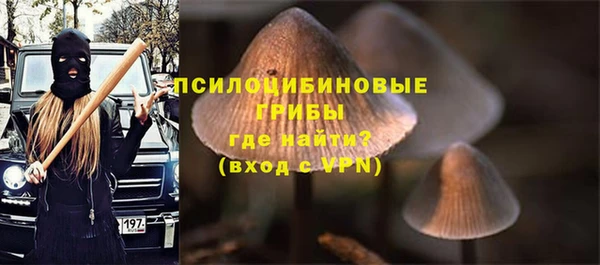 2c-b Богородицк