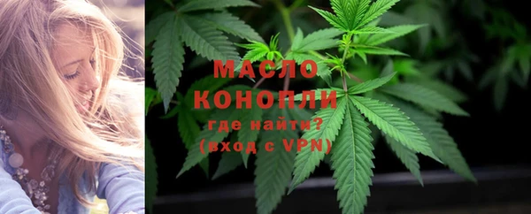 2c-b Богородицк